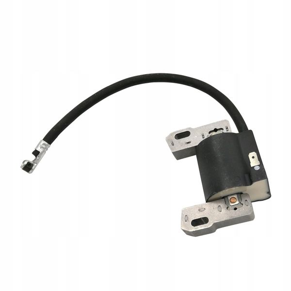 Cewka iskrownik Briggs Stratton 790817 843931 zdjęcie 1