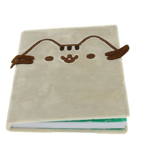 KOT PUSHEEN - Pluszowy Notatnik na Arena.pl