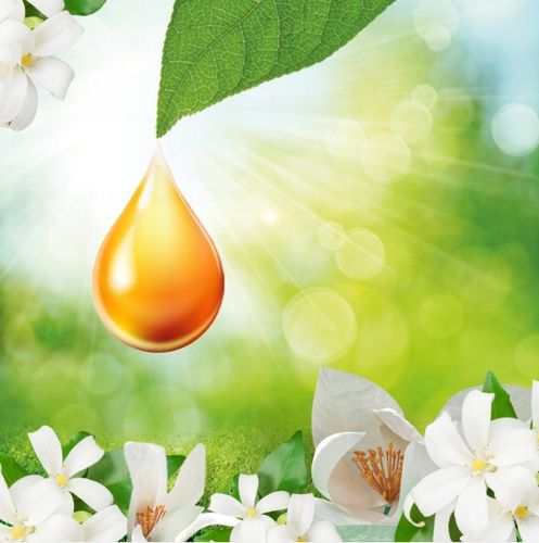 Air Wick Active Fresh Odświeżacz Powietrza WKŁAD Białe Kwiaty ZAPAS 228 ml na Arena.pl