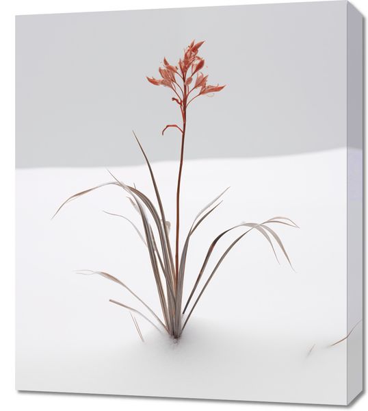 Obraz 60x70cm Subtelność Natury zdjęcie 1