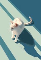 Plakat 68x98cm Kocia Persona