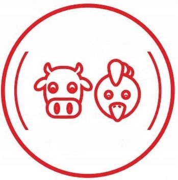 Mięso Surowe Mrożone Karma dla Psa Mokra Wołowina Witaminy Białko BARF 10kg na Arena.pl