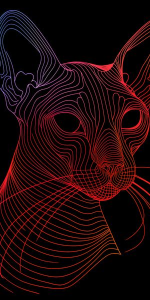 Plakat 50x100cm Cyfrowa Kocica zdjęcie 1