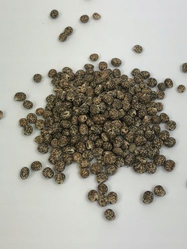 Łubin wąskolistny 25kg GORZKI na Arena.pl