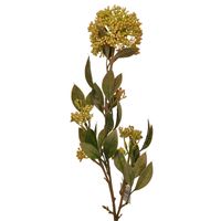 product-compare-61190572