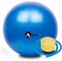 PIŁKA GIMNASTYCZNA REHABILITACYJNA TRENING FITNESS ZESTAW Z POMPKĄ 65 CM