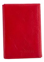 etui na dokumenty eko f18-pal50-rad