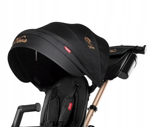 ROWEREK TRÓJKOŁOWY WIELOFUNKCYJNY QPLAY NOVA+ RUBBER GOLDEN MILLY MALLY na Arena.pl