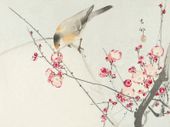 Plakat 100x75cm Songbird on Blossom Branch, Koson Vintage do Salonu