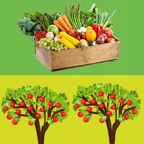 Nawóz Mączka Bazaltowa 25kg Do Róz Kwiatów Roślin Naturalny na Arena.pl