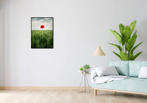Plakat 50x70cm Samotny Mak na Polu na Arena.pl