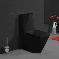 WC KOMPAKT DIAMENT BLACK- SWISS MEYER Pionowy (dolny)