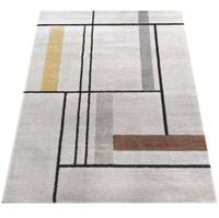 Dywan Ladon 02 200 x 290 cm wielokolorowy