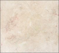 Tło fotograficzne Produktowe FLAT LAT Kulinarne