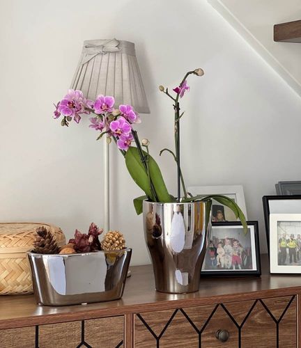 DONICZKA OSŁONKA CERAMICZNA NA STORCZYK SREBRNA na Arena.pl