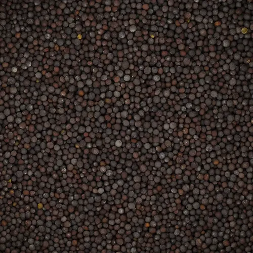 Gorczyca czarna ziarno 200g na Arena.pl