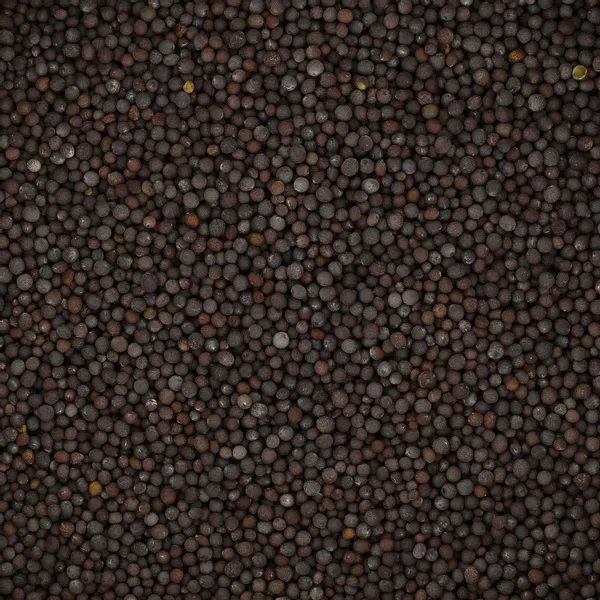 Gorczyca czarna ziarno 200g zdjęcie 3