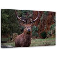 OBRAZ DRUKOWANY Jeleń Las Natura Zwierzęta