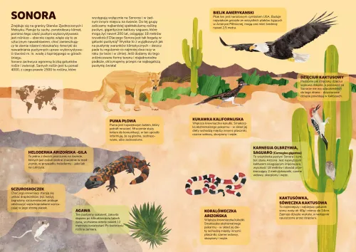 Pustynie i Oceany na Arena.pl