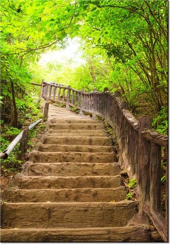 100 70CM OBRAZ PŁÓTNO SCHODAMI GÓRĘ PŁÓTNO RAMA na Arena.pl