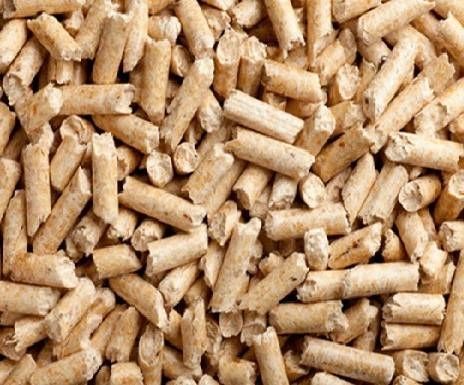 Super Pinio żwirek drewniany 10 l dla kota dla gryzoni na Arena.pl