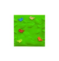 ścianka wspinaczkowa plastikowa zielony