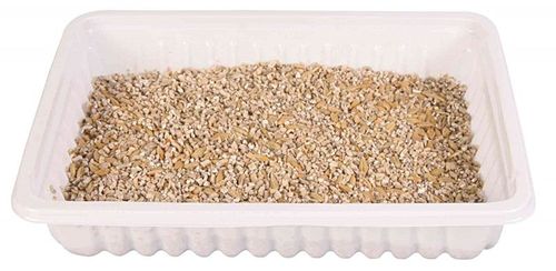 TRIXIE trawa dla kota w pojemniku soczysta trawka odkłaczająca kule włosowe na Arena.pl