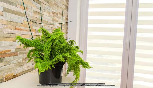 Podpora doniczkowa [2174] x 3szt., ELGarden na Arena.pl