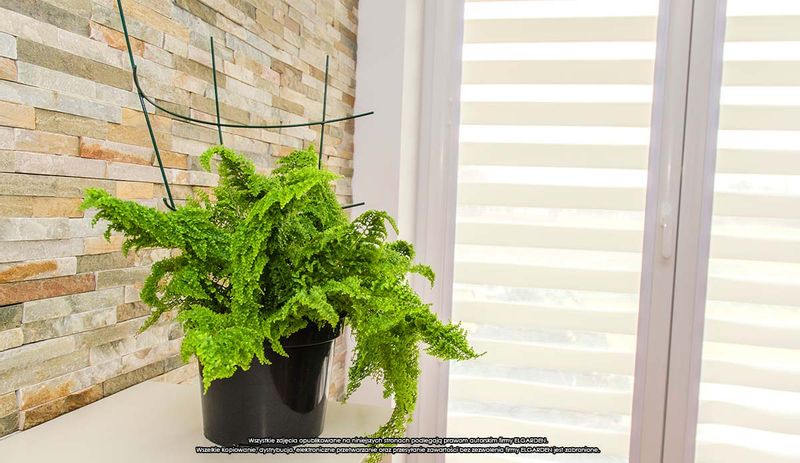 Podpora doniczkowa [2174] x 3szt., ELGarden zdjęcie 4