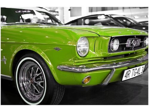 100 70CM OBRAZ PŁÓTNO LIMONKOWY MUSTANG PŁÓTNO RAMA na Arena.pl