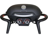 grill turystyczny przenośny z 2 palnikami grilli 230609