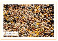 Karma dla gołębi Agro King Bez Pszenicy BP 25kg