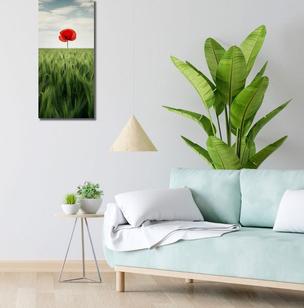 Obraz 30x70cm Samotny Mak na Polu zdjęcie 2