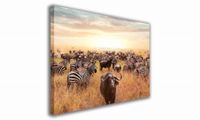 OBRAZ NA PŁÓTNIE 135 Sawanna 30x20cm
