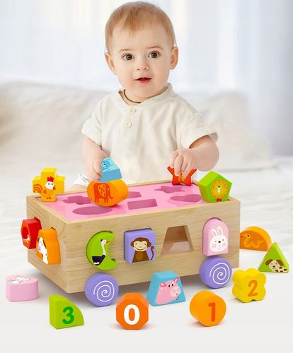 sorter na kółkach jhtoy-545 na Arena.pl