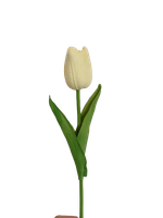 Tulipan silikonowy ecru sztuczny kwiat 34 cm 1 szt.