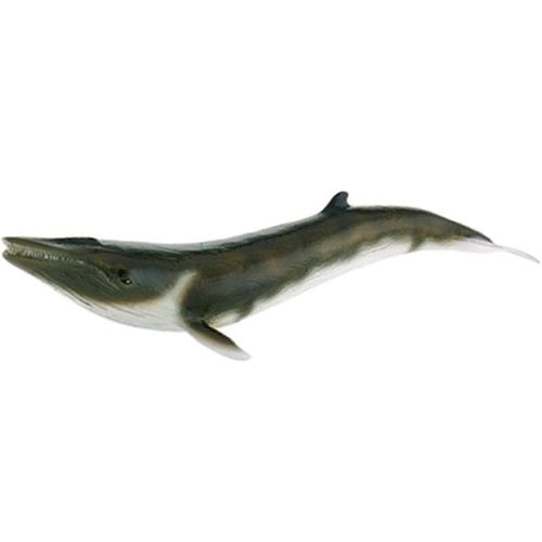 Bullyland 67415 waleń 20cm na Arena.pl