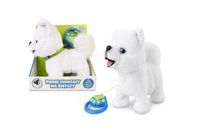 Piesek chodzacy na smyczy 169137