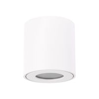 Lampa plafon sufitowy natynkowy ZORBA DWL white 03954 GU10