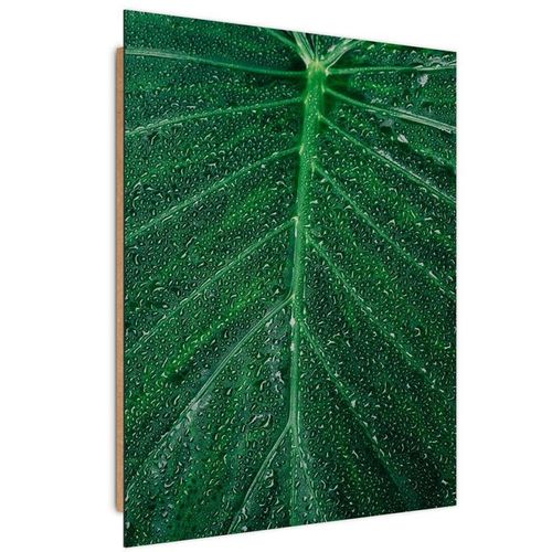 Deco Panel, Krople wody na liściu 2 40x50 na Arena.pl
