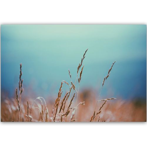 Deco Panel, Źdźbła zbóż 60x40 na Arena.pl