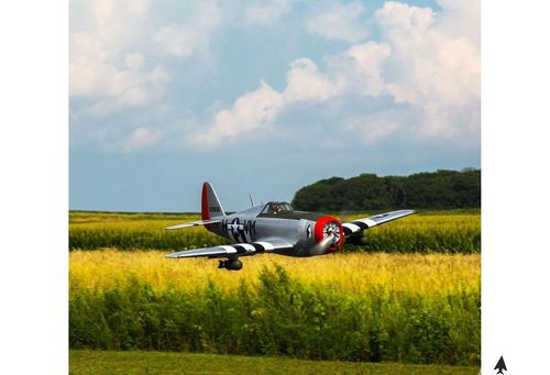 P-47D Thunderbolt 20cc ARF na Arena.pl