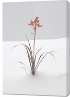 product-compare-59469662