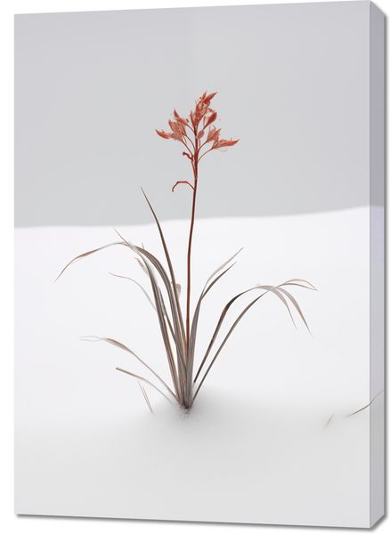 Obraz 70x100cm Subtelność Natury zdjęcie 1