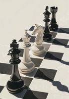 Plakat 68x98cm Szach i Mat