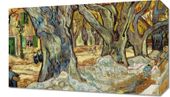 Obraz 50x30cm The Large Plane Trees, Van Gogh Vintage