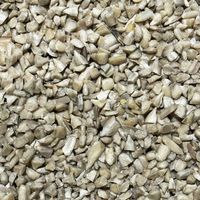 5kg SŁONECZNIK ŁUSKANY 99% ziarno karma zimowa dla ptaków CHAMPI