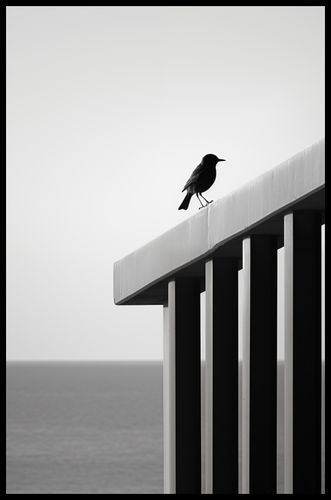 Plakat 53x81cm Samotna Odchłań na Arena.pl