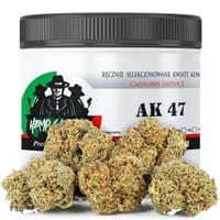 Susz konopny CBD | AK 47 | HOLENDER | 50g