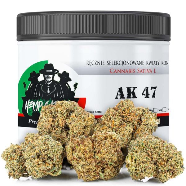 Susz konopny CBD | AK 47 | HOLENDER | 5g zdjęcie 1